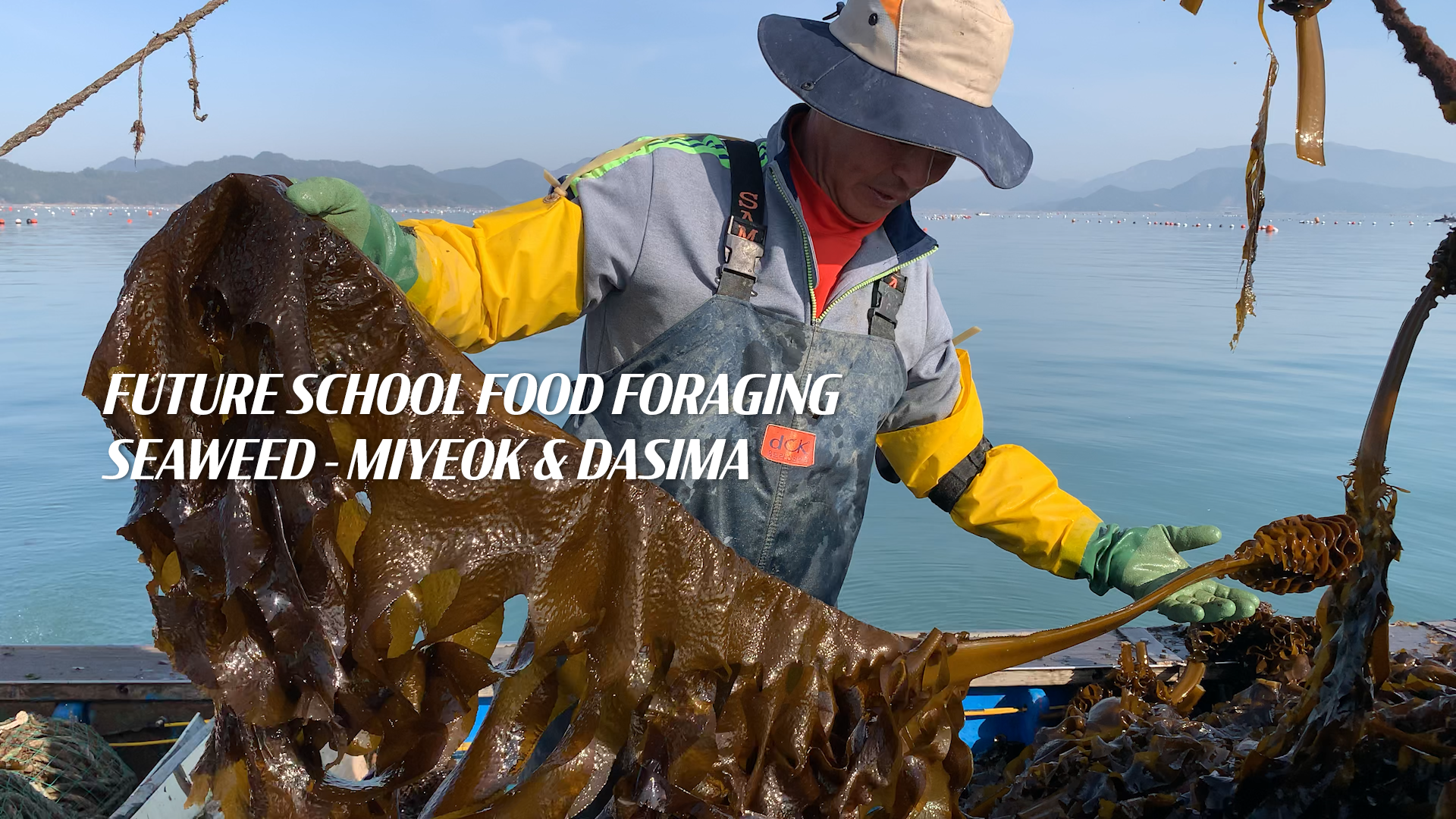 Future School Food Foraging